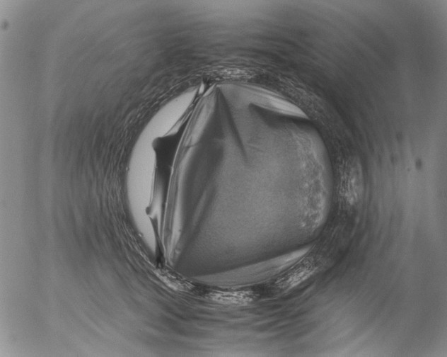 X0000053050465200508011852