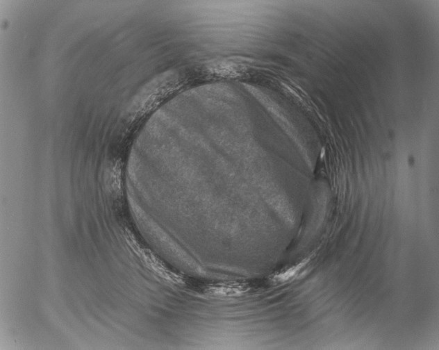 X0000053050466200508011852