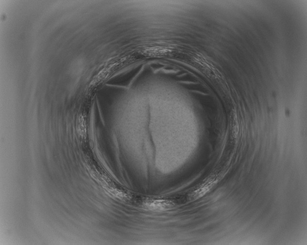 X0000053050467200508011852