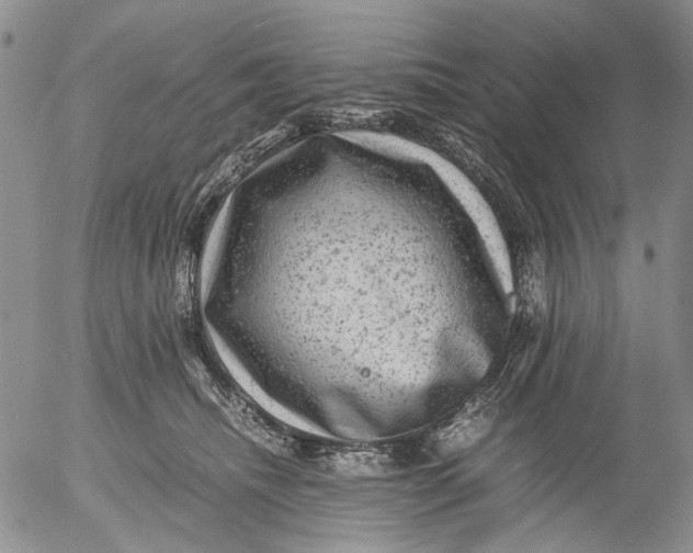 X0000053050468200508011852