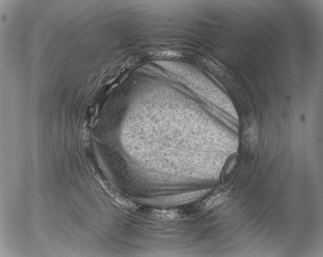 X0000053050469200508011852