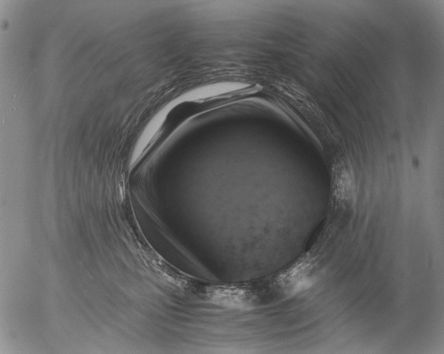 X0000053050471200508011852