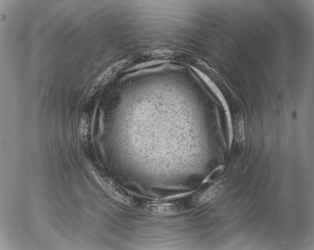 X0000053050472200508011852