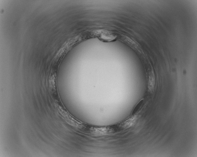 X0000053050473200508011852