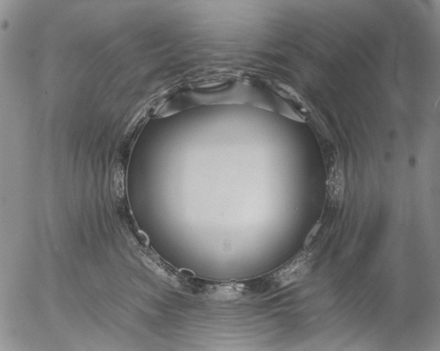 X0000053050474200508011852