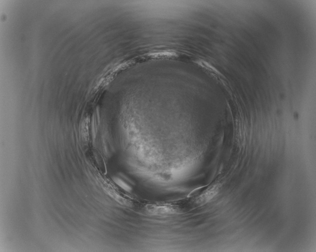 X0000053050475200508011852