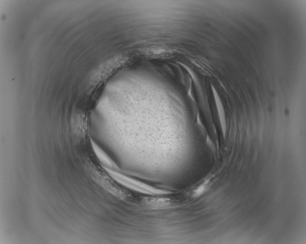 X0000053050476200508011852