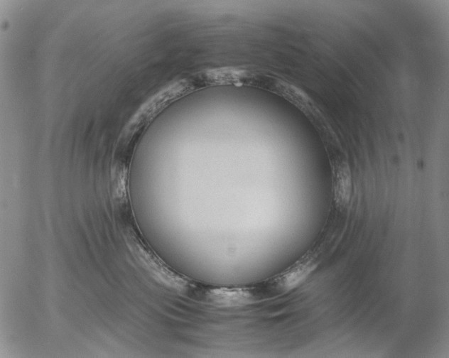 X0000053050477200508011852