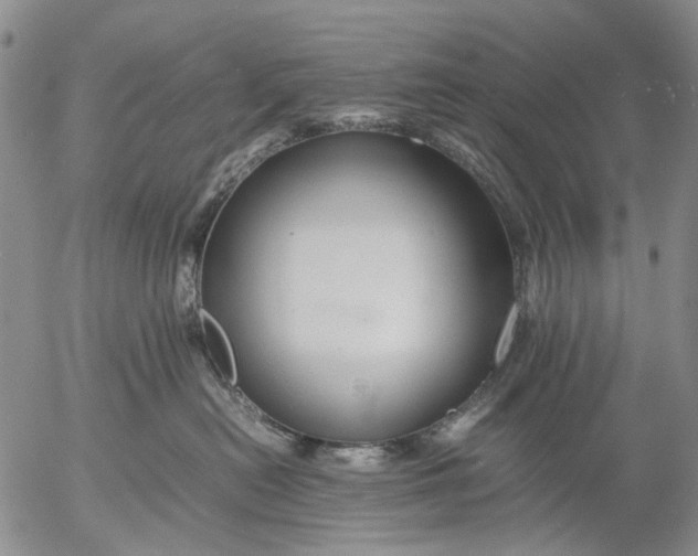 X0000053050478200508011852