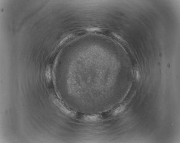 X0000053050479200508011852