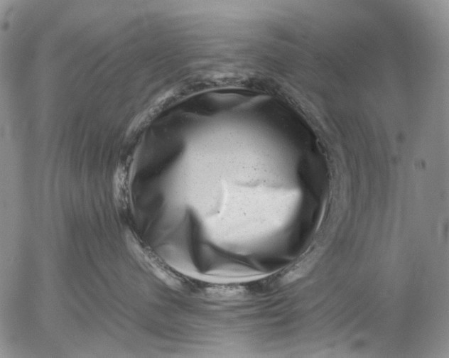 X0000053050480200508011852