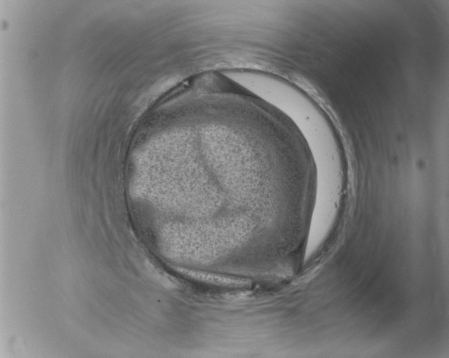 X0000053050481200508011852