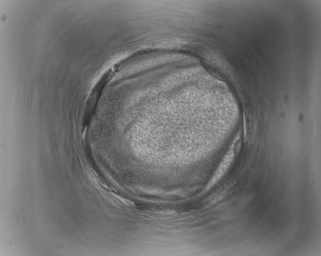 X0000053050483200508011852