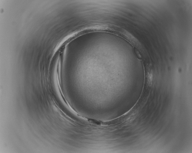 X0000053050484200508011852