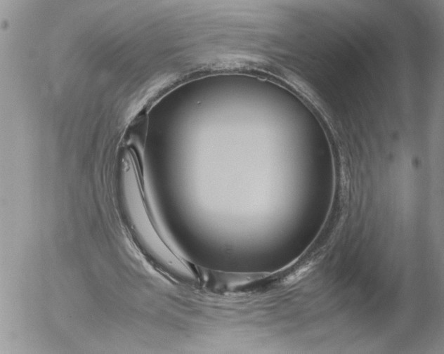 X0000053050485200508011852