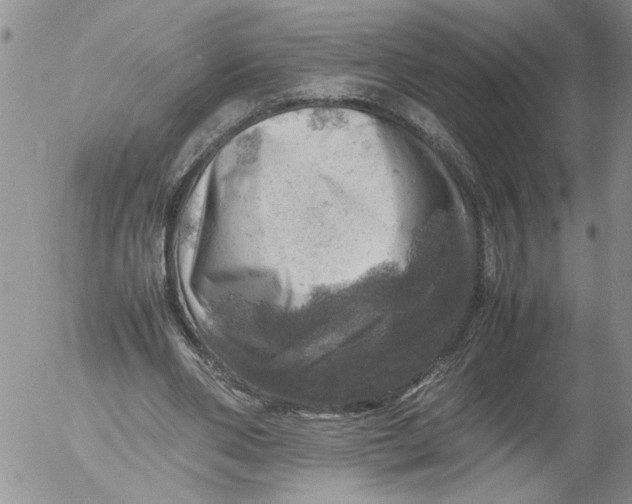 X0000053050486200508011852