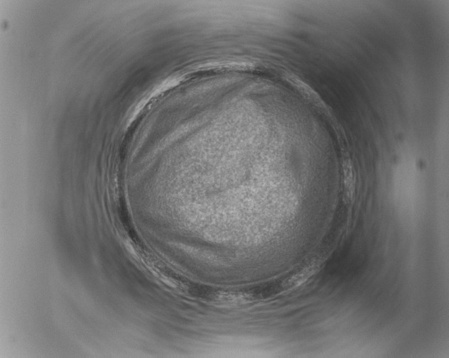 X0000053050487200508011852