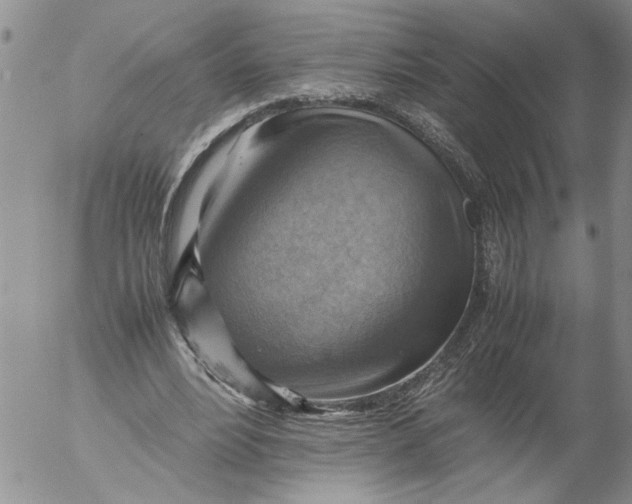 X0000053050488200508011852