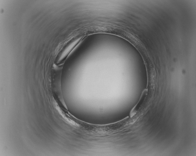 X0000053050489200508011852