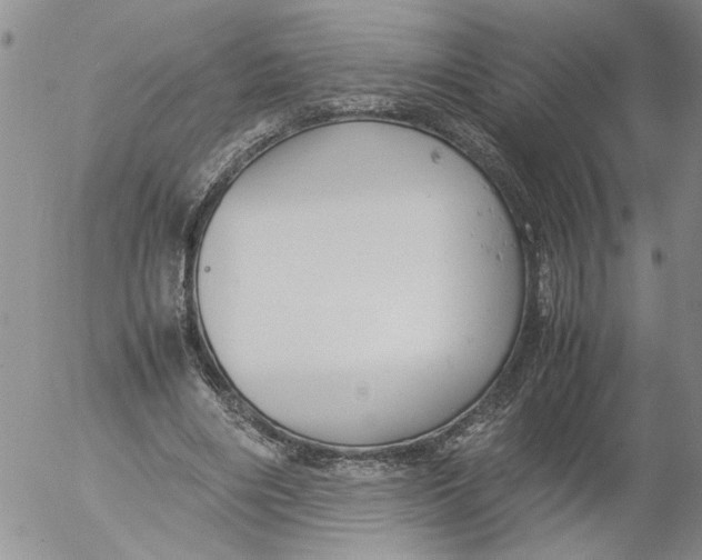 X0000053050490200508011851