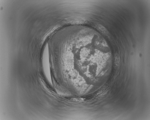 X0000053050491200508011851