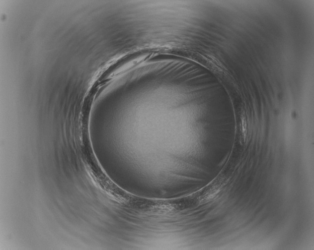 X0000053050492200508011851