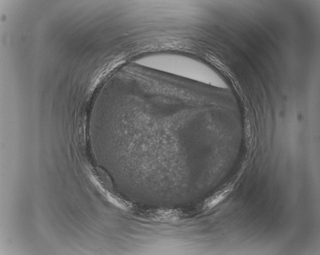 X0000053050493200508011851