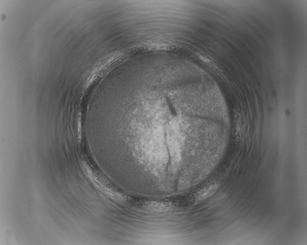 X0000053050494200508011851