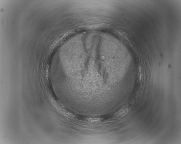 X0000053050495200508011851