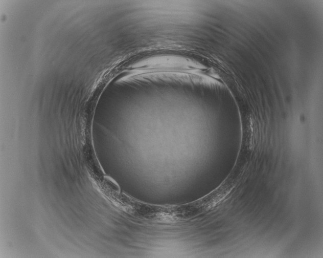 X0000053050496200508011851