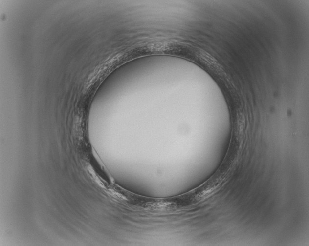 X0000053050497200508011851