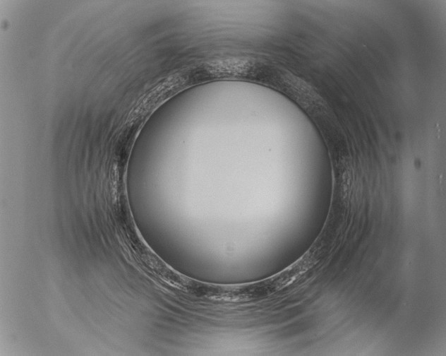 X0000053050498200508011851