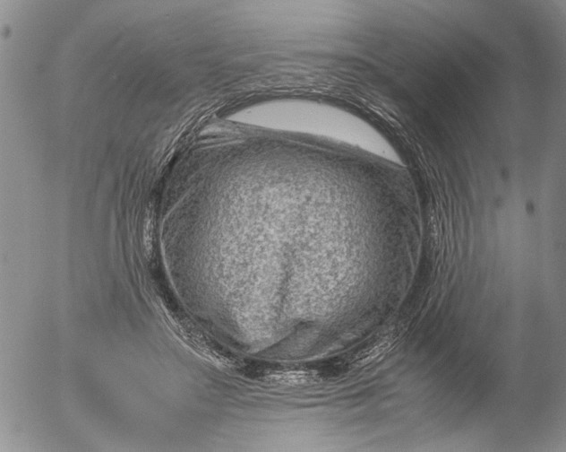 X0000053050499200508011851