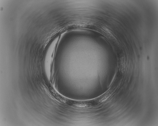 X0000053050500200508011851