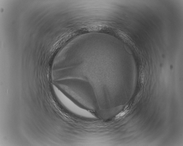 X0000053050501200508011851