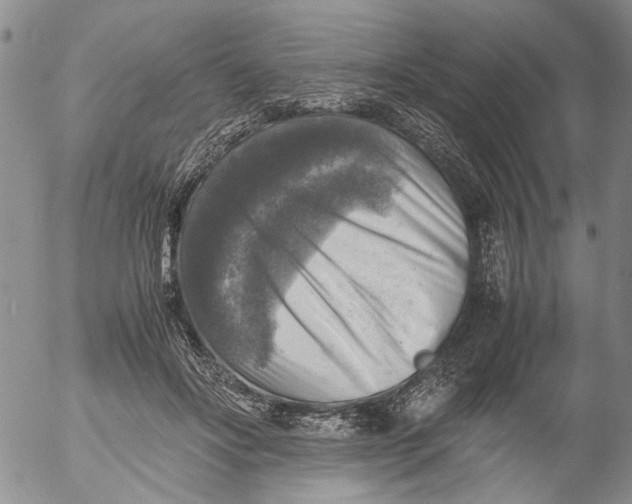 X0000053050502200508011851