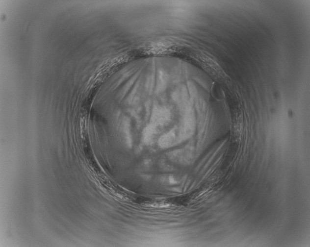 X0000053050503200508011851