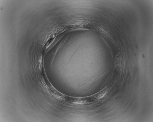 X0000053050504200508011851