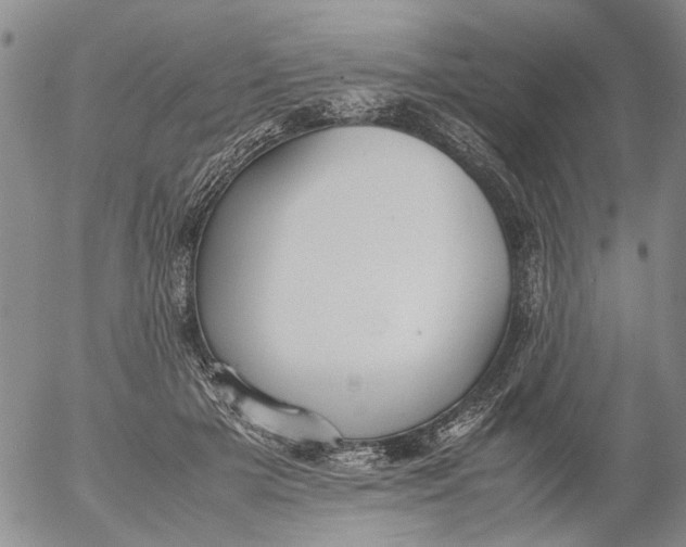 X0000053050505200508011851