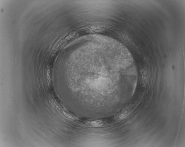 X0000053050506200508011851