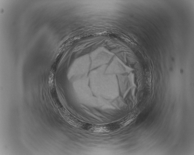 X0000053050507200508011851