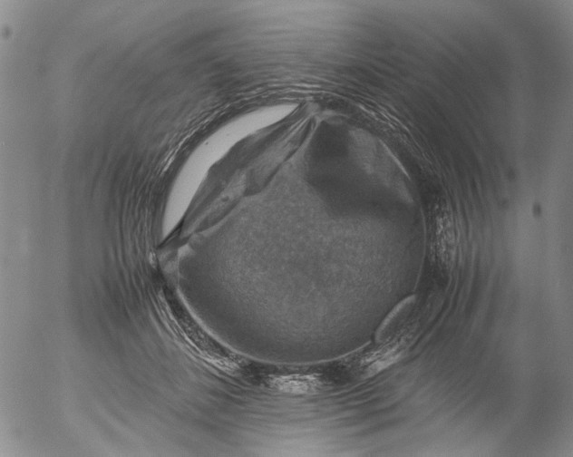 X0000053050508200508011851