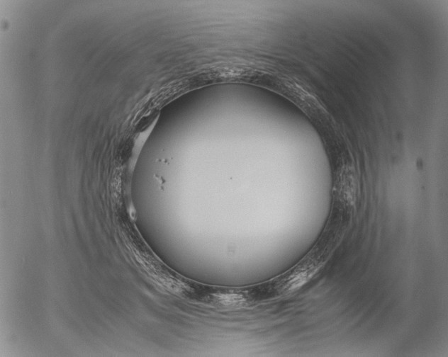 X0000053050509200508011851