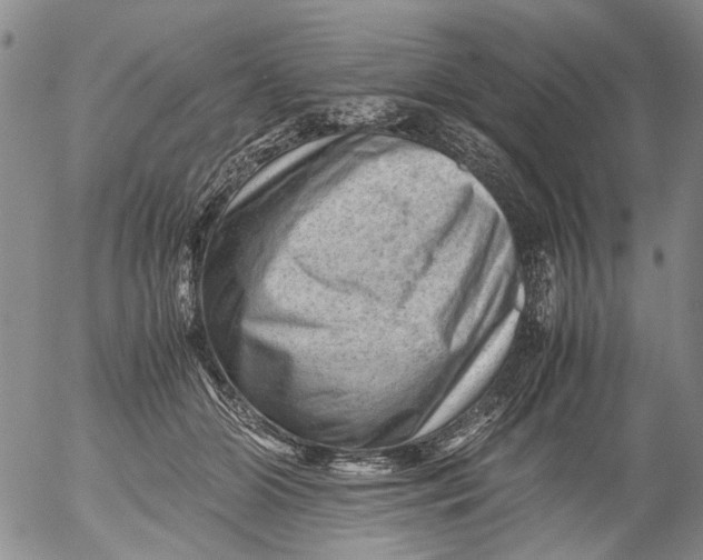 X0000053050510200508011851