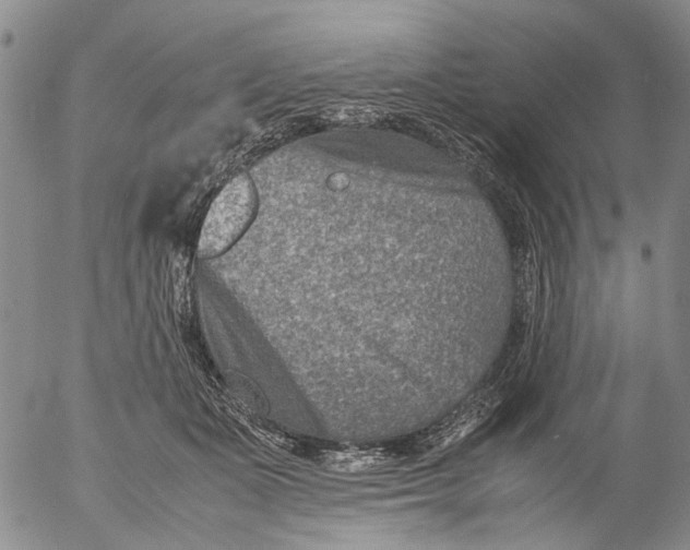 X0000053050511200508011851