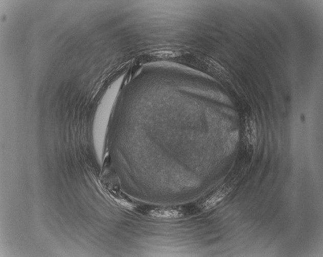 X0000053050512200508011851