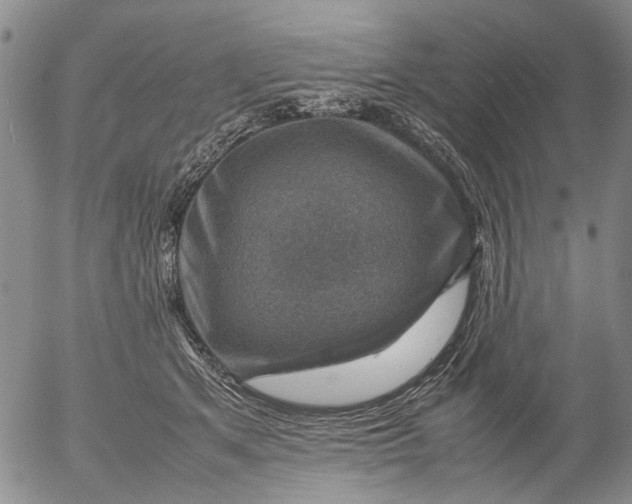 X0000053050513200508011851