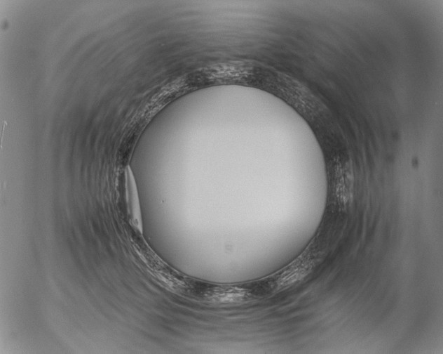 X0000053050514200508011851