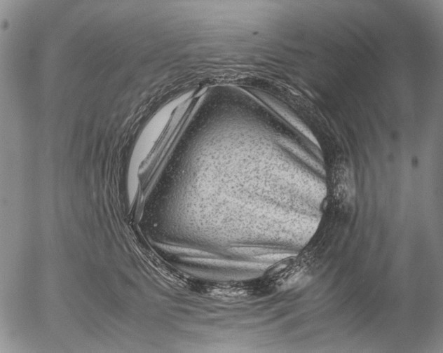 X0000053050515200508011851