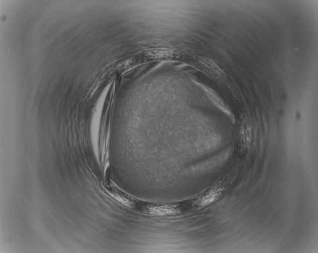 X0000053050516200508011851